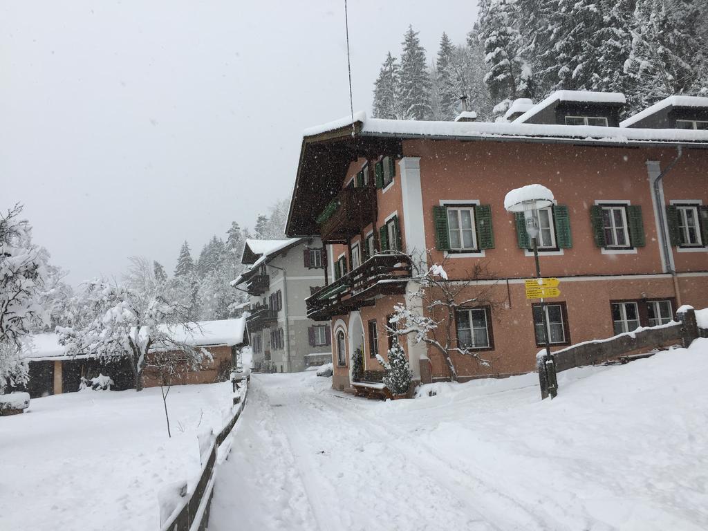 Haus Stainer Apartment Lofer Exterior photo